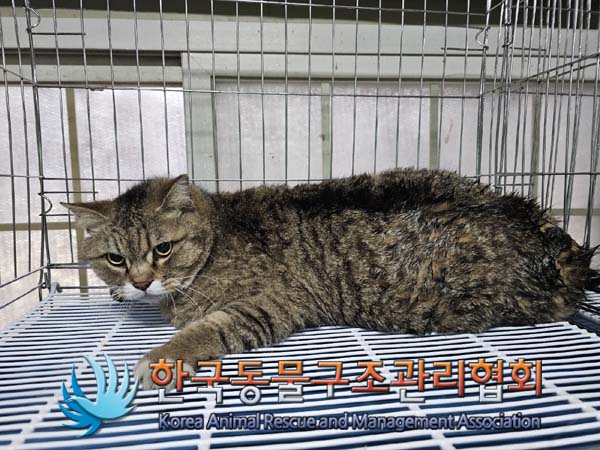 종료(자연사) 한국…